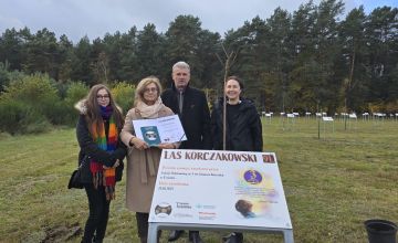 Nasze Drzewko Pamięci w Lesie Korczakowskim