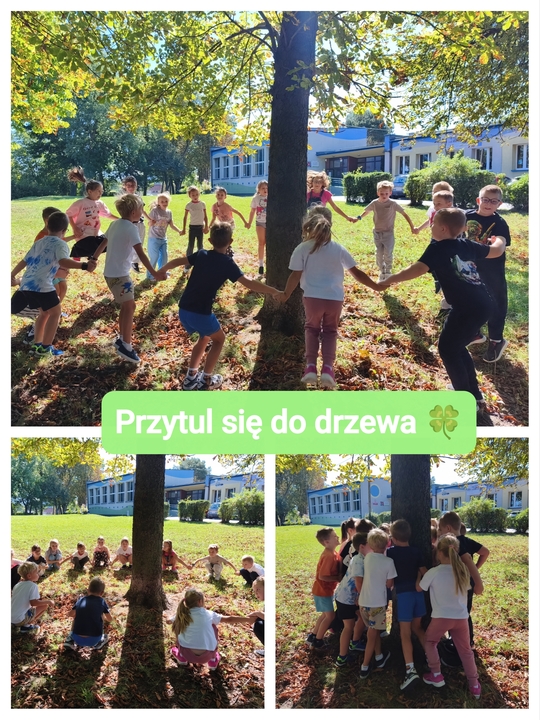 Klasa 1b w akcji - PRZYTUL SIĘ DO DRZEWA