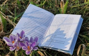Wiosna z książką (4)