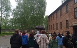 Miejsce Pamięci i Muzeum Auschwitz-Birkenau (4)