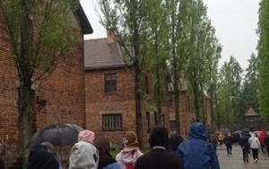 Miejsce Pamięci i Muzeum Auschwitz-Birkenau (5)