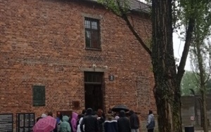 Miejsce Pamięci i Muzeum Auschwitz-Birkenau (6)