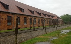 Miejsce Pamięci i Muzeum Auschwitz-Birkenau (9)