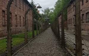 Miejsce Pamięci i Muzeum Auschwitz-Birkenau (11)