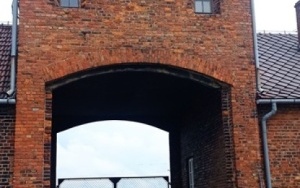 Miejsce Pamięci i Muzeum Auschwitz-Birkenau (14)