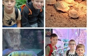 KLASA 2a i 2b - wycieczka do Centrum Edukacji Ekologicznej - Egzotarium w Sosnowcu (9)