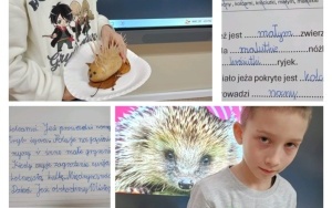 Dzień Jeża (16)