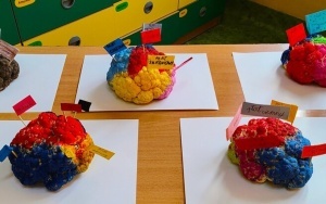 Kalafior, wykałaczki, karteczki oraz mnóstwo nauki i zabawy w klasie 2b (1)