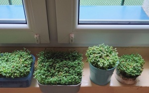 Wiosna w klasie 2b (10)