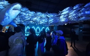 Wycieczka szkolna do Wrocławia (4)