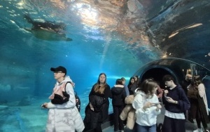 Wycieczka szkolna do Wrocławia (15)